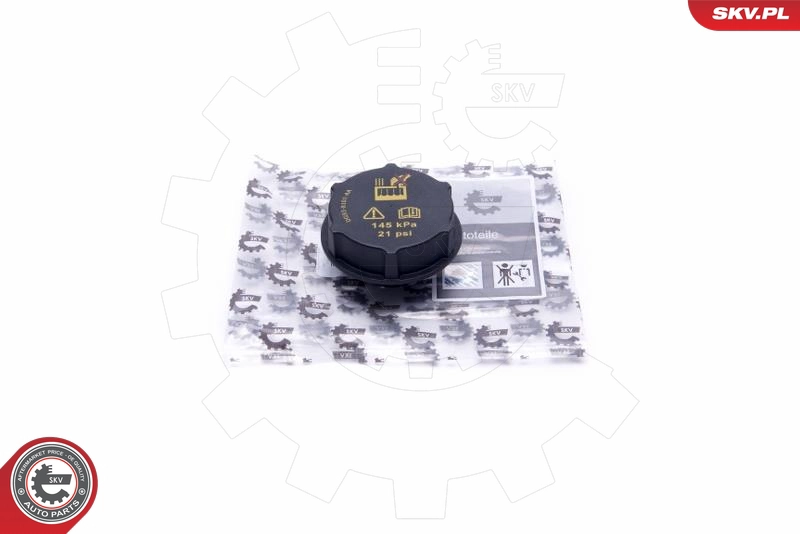 61SKV024
