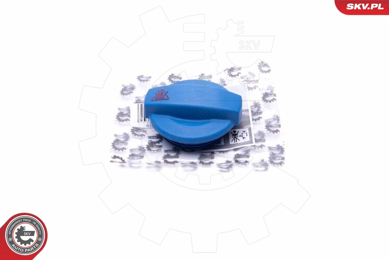 61SKV012