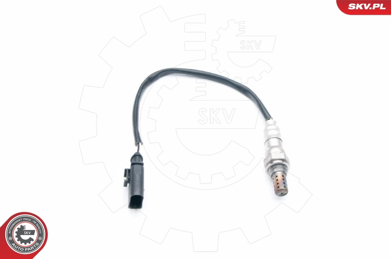 09SKV697