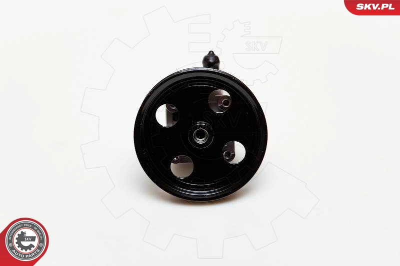 10SKV177
