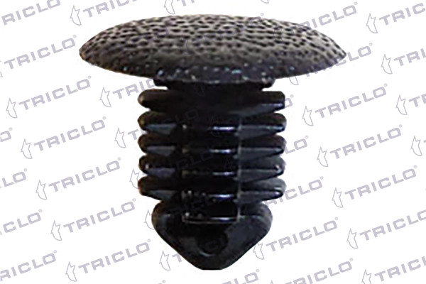 A0009912895