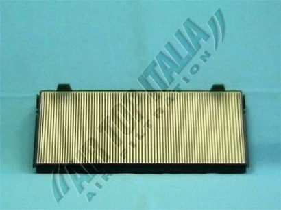 ZF481