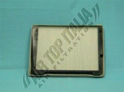 ZF300