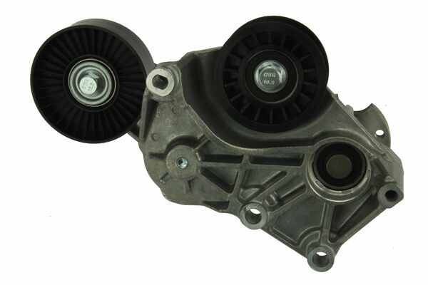 LR035556