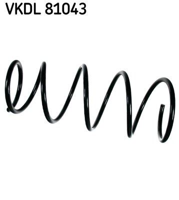 VKDL 81043