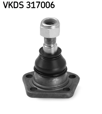 VKDS 317006