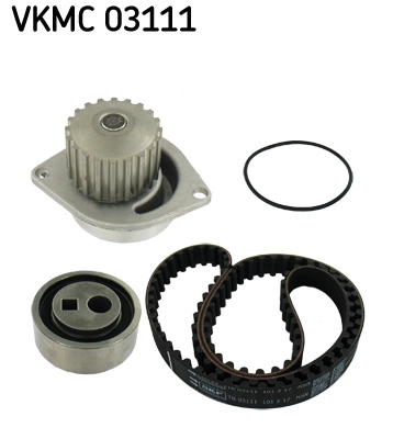 VKMC 03111