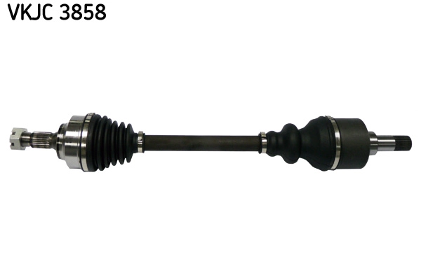 VKJC 3858