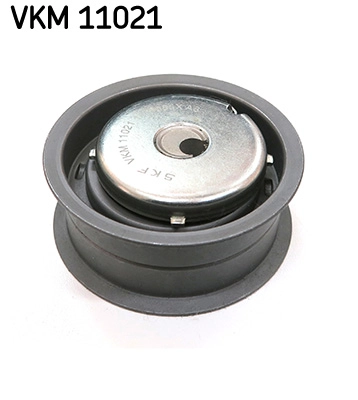 VKM 11021