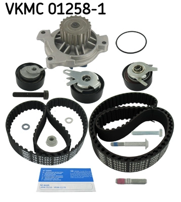VKMC 01258-1