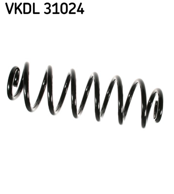VKDL 31024