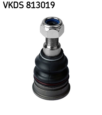 VKDS 813019