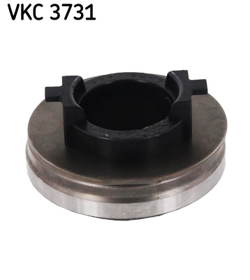 VKC 3731