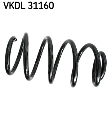 VKDL 31160