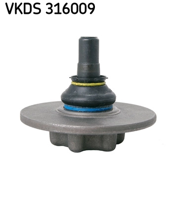 VKDS 316009