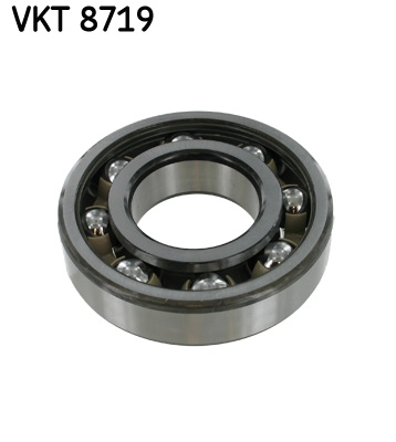 VKT 8719