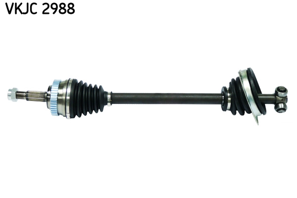 VKJC 2988