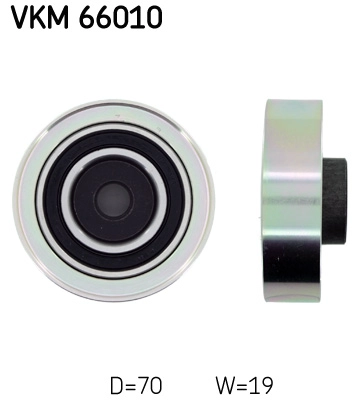 VKM 66010