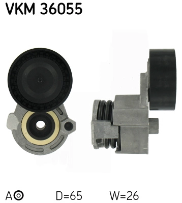 VKM36055