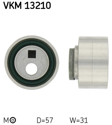 VKM 13210
