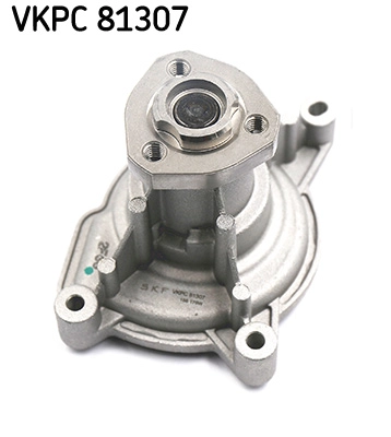 VKPC 81307
