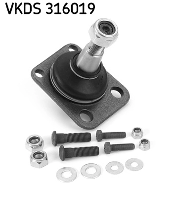 VKDS 316019