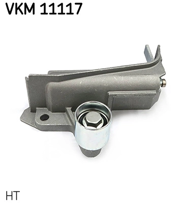 VKM 11117