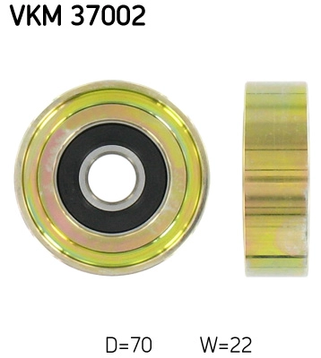 VKM 37002