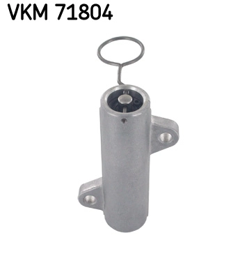 VKM 71804