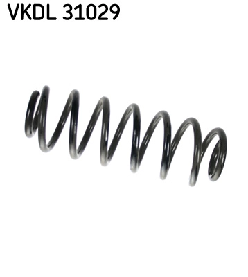 VKDL 31029