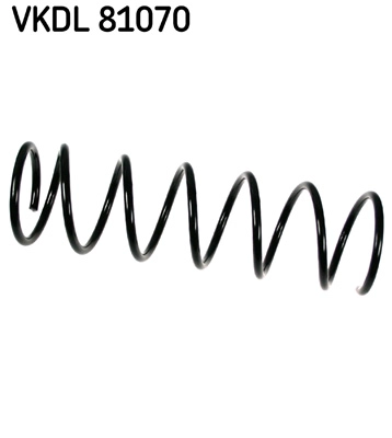 VKDL 81070