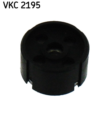 VKC 2195