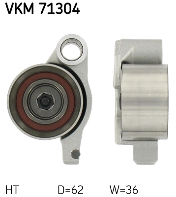 VKM 71304