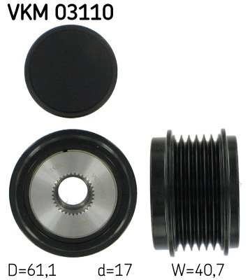 VKM 03110