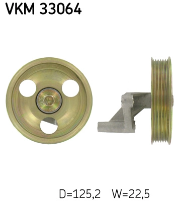VKM 33064