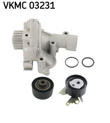 VKMC 03231