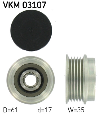 VKM 03107