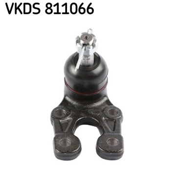 VKDS 811066