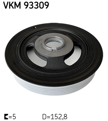 VKM 93309