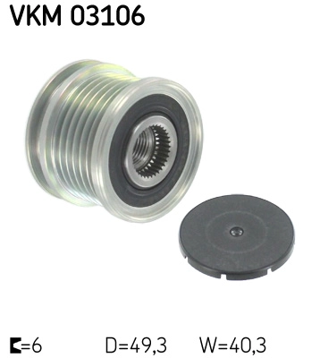 VKM 03106
