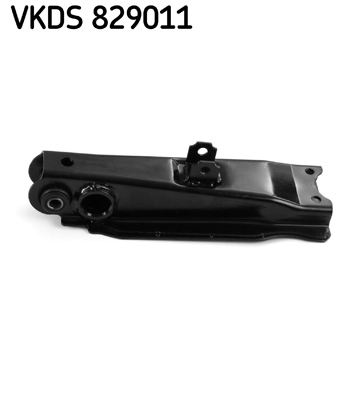 VKDS 829011