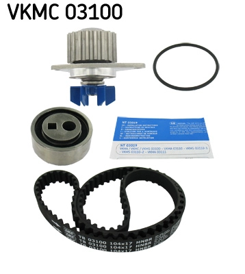 VKMC 03100