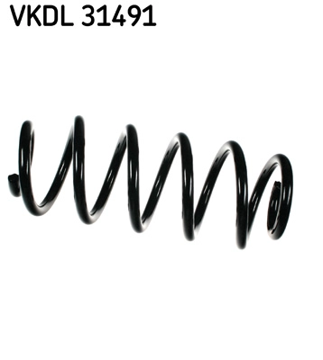 VKDL 31491