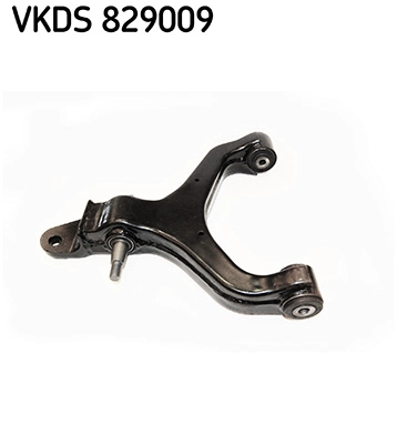 VKDS 829009