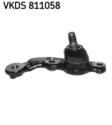 VKDS 811058