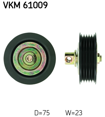 VKM 61009