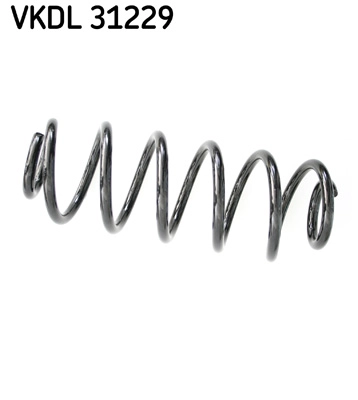 VKDL 31229