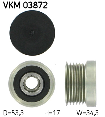 VKM 03872
