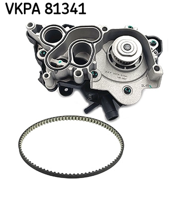 VKPA 81341