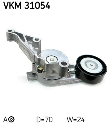 VKM 31054